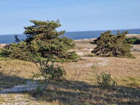 Meditative Landschaft am baltischen Meer
