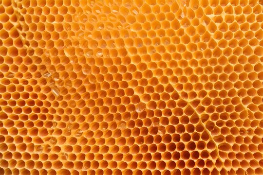 Close up of honeycomb. Background, Texture. 