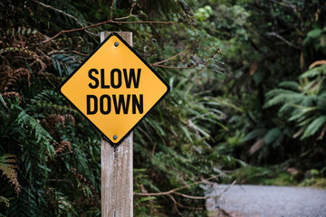 Slow Down sign in the park