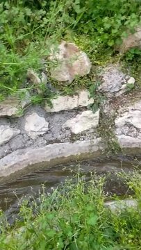 Su arkı