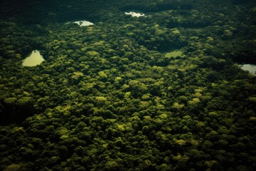 Fototapeta na wymiar Canopy of Amazon dense green Forest. Top aerial view, Generative AI 