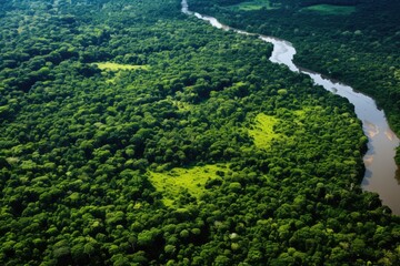 Canopy of Amazon dense green Forest. Top aerial view, Generative AI