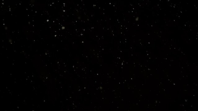 Snow Overlays Realistic on a black background