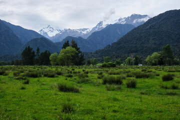 Fototapeta na wymiar landscape in the mountains in new zealand