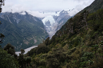 View of the Fox Glacier in New Zealand