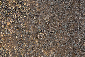 Background of small stones in dry earth close-up. Beautiful textured background of pebbles in dry ground. View from above. Concept background of a path made of earth and small cameos.