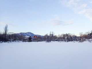 雪が積もった中島公園菖蒲池（北海道札幌市中央区）