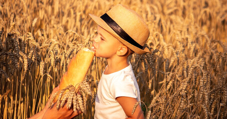 a child in a wheat field eats bread.