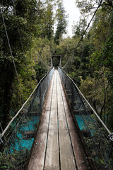 Suspended Bridge at the Hokitika Gorges in NEw Zealand