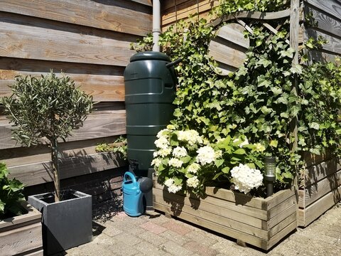 A green rain barrel with a blue watering can in a beautiful botanical garden