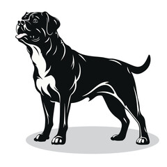 Rottweiler silhouettes and icons. black flat color simple elegant Rottweiler animal vector and illustration.
