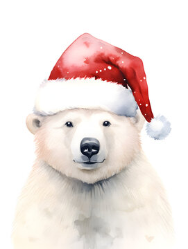 Watercolor illustration of a white bear with red Christmas hat, isolated on white background