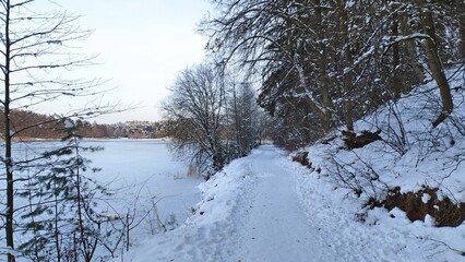 In winter, the lake is covered with ice. Along the shore there is a path with footprints in the snow. On the opposite snow-covered shore are buildings and trees. Evening twilight is approaching