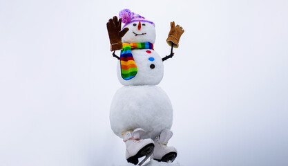 Merry Christmas and Happy New Year greeting card. Winter fashion. Happy snowman in hat, scarf and...