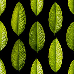 Seamless pattern of green lemon leaves.