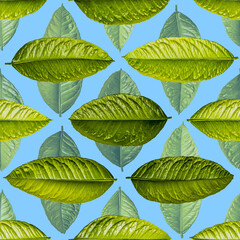 Seamless pattern of green lemon leaves.