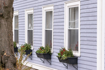 Fototapeta na wymiar A light blue wooden horizontal clapboard covered house with double hung pane windows. The wooden trim around the window is white. Black flowerboxes hang under the windows and are filled with greenery