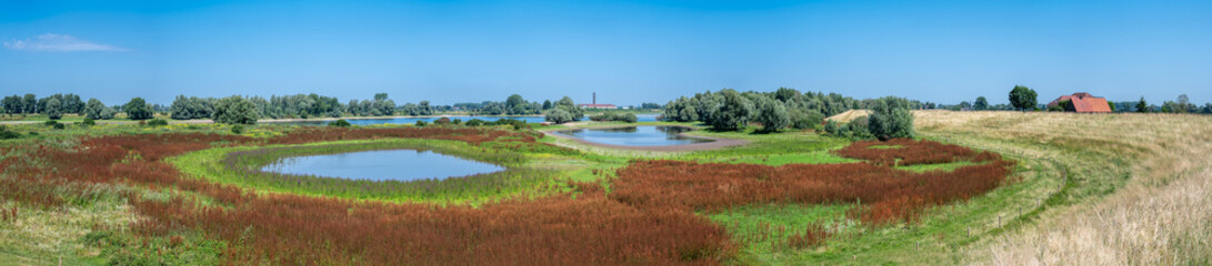 Fototapeta na wymiar Panoramic view over the Millingerwaard with a colorful nature landscape and swamps, Millingen aan den Rijn, The Netherlands