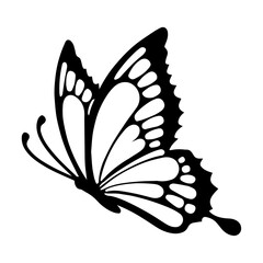 vector, contorno mariposa