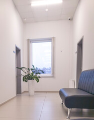 Shot of the waiting area in the modern office or clinic. Interior