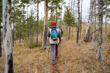 Obraz premium A group of people making a hiking trip with backpacks in the forest, trekking in a hilly area, an autumn adventure in nature.