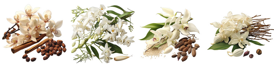 Vanilla pods and orchid flowers Hyperrealistic Highly Detailed Isolated On Transparent Background Png File