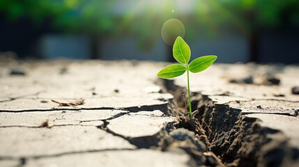 New life: small seedling growing in soil - created with generative AI