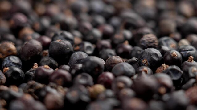 Falling dried juniper berries in slow motion. Dehydrated aromatic medicative ingredient. Rotation