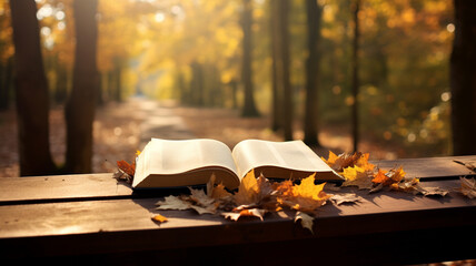autumn book in the park on a bench