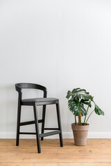 Black chair and green houseplant in pot on wooden floor