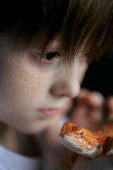 Portrait of boy with Red bearded Agama iguana. Little child playing with reptile. Selective focus....