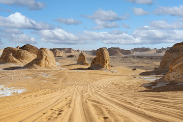 sand dunes in the desert