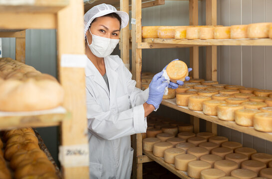 Portrait of skilled Asian woman in white coat and protective face mask working in storehouse at cheese factory, controlling maturing process of goat cheese wheels placed on shelves