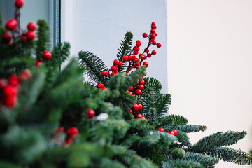 Christmas decorations on window. Fir branches with red berries.