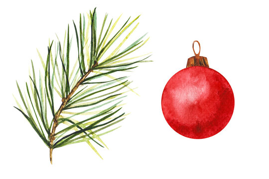 pine branch and red Christmas tree toy. Hand drawn watercolor illustrations. Isolated cliparts for Christmas design, New Year compositions. Realistic botanical elements.