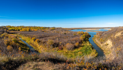 Autumn by a creek 