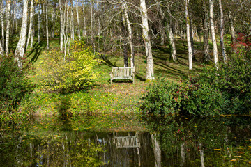 tranquil scene with a garden bench overlooking a pond