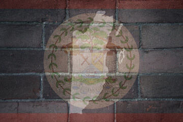 map and flag of belize on a old brick wall