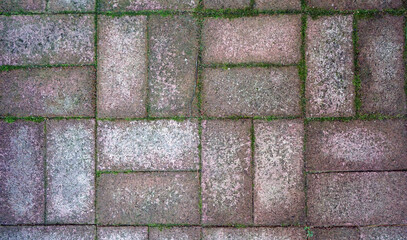 Brick Texture