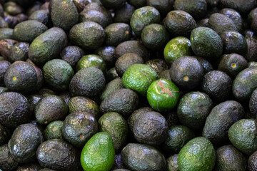 avocados in market