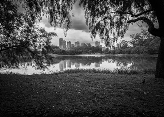 black and white city reflection
