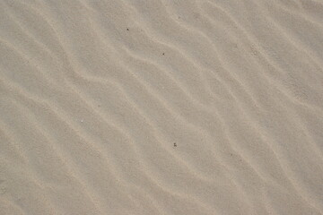 Fototapeta na wymiar Wavy sea sand background. Top view. 