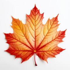 A vibrant autumn maple leaf, AI Generative.