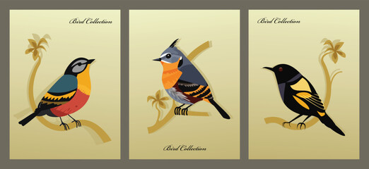 Vintage bird collection posters, colourful birds on the branches, bullfinch, crow, waxwing, vector illustration