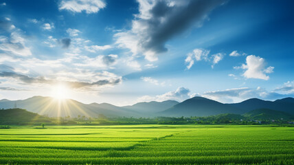 Fototapeta premium view of green field with sun flare, AI Generative.