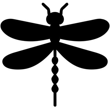 dragonfly illustration