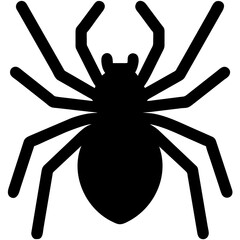 black spider