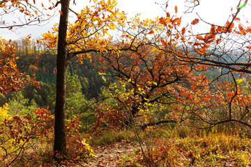Colorful autumn Landscape in the Central Bohemian Region of the Czech Republic, Kokorin