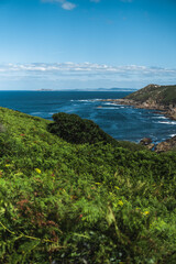 Captivating Ons Island scene: lush greenery in the foreground, azure sea, rocky cliffs, Pontevedra estuary, and a summer sky with scattered clouds from the Buraco do Inferno path.