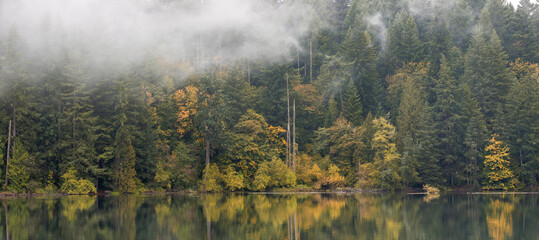 Fall Foliage Peaks Out Through the Evergreen Trees